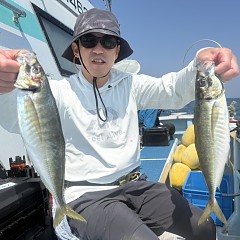 5月 15日（金）午前便・アジ釣りの写真その3