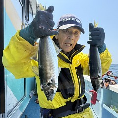 5月 15日（金）午前便・アジ釣りの写真その5