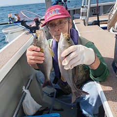 5月 15日（金）午後便・アジ釣りの写真その7