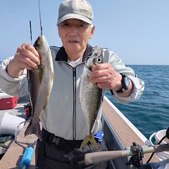 5月 15日（金）午後便・アジ釣りの写真その9