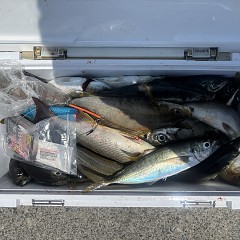 5月16日（土）午前便・アジ釣りの写真その7