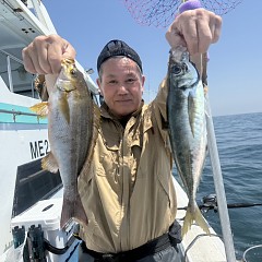 5月 16日（土）午前便・アジ釣りの写真その1