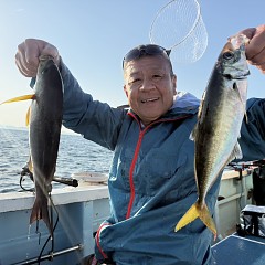 5月 16日（土）午後便・アジ釣りの写真その4