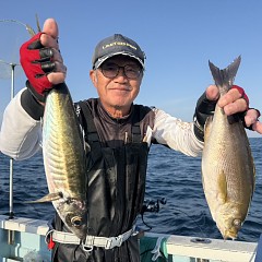 5月 16日（土）午後便・アジ釣りの写真その5