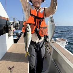 5月16日（土）午後便・アジ釣りの写真その6