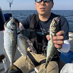 5月16日（土）午後便・アジ釣りの写真その7