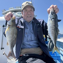 5月 17日（日）午前便・アジ釣りの写真その1