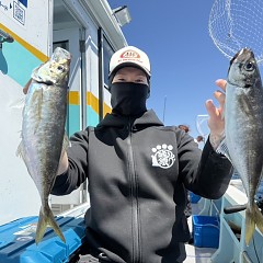 5月 17日（日）午前便・アジ釣りの写真その5
