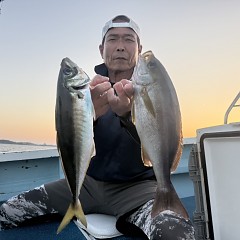 5月 17日（日）午後便・アジ釣りの写真その1