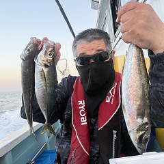 5月 17日（日）午後便・アジ釣りの写真その3
