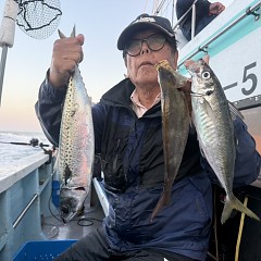 5月 17日（日）午後便・アジ釣りの写真その4