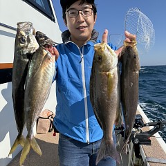 5月 17日（日）午前便・アジ釣りの写真その1