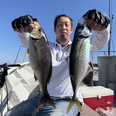 5月 17日（日）午前便・アジ釣りの写真その2