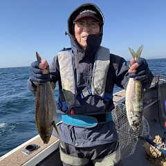 5月 17日（日）午前便・アジ釣りの写真その3