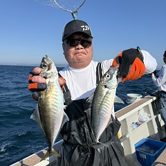 5月 17日（日）午前便・アジ釣りの写真その5