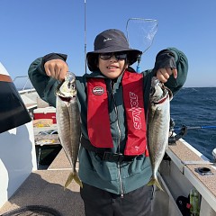 5月 17日（日）午前便・アジ釣りの写真その8