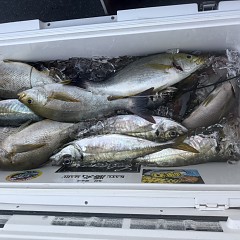 5月 17日（日）午前便・アジ釣りの写真その10