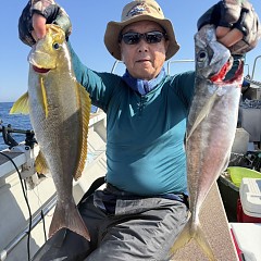 5月 17日（日）午後便・アジ釣りの写真その2