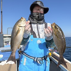 5月 17日（日）午後便・アジ釣りの写真その3
