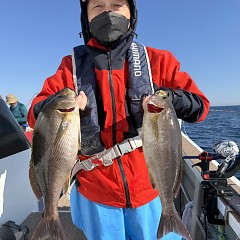 5月 17日（日）午後便・アジ釣りの写真その5