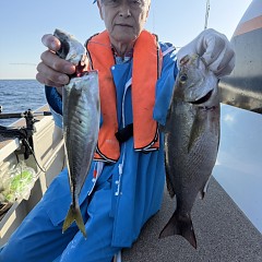 5月 17日（日）午後便・アジ釣りの写真その6