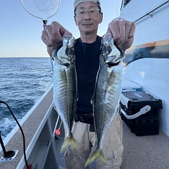 5月 17日（日）午後便・アジ釣りの写真その7