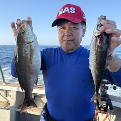 5月 17日（日）午後便・アジ釣りの写真その8