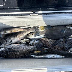 5月18日(月)9時出船アジ釣りの写真その5