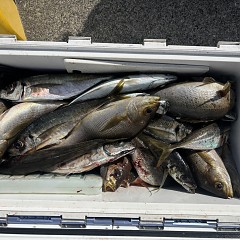 5月18日(月)9時出船アジ釣りの写真その6