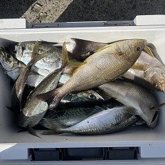 5月18日(月)9時出船アジ釣りの写真その7