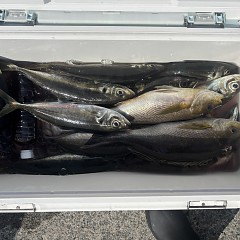 5月18日(月)9時出船アジ釣りの写真その8