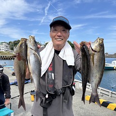 5月19日（火）8時出船・イサキ・アジ釣りの写真その1