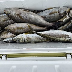 5月 20日(水)8時出船・アジ釣りの写真その9