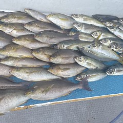 5月 21日（木）午前便・アジ釣りの写真その5