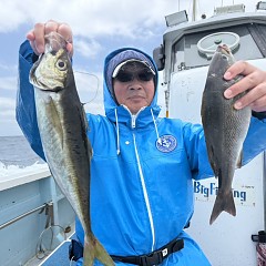 5月 22日（金）午前便・アジ釣りの写真その2