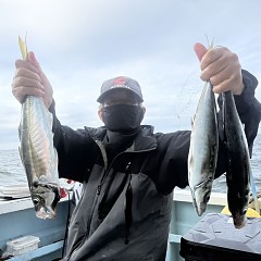 5月 22日(金)午後便・アジ釣りの写真その3