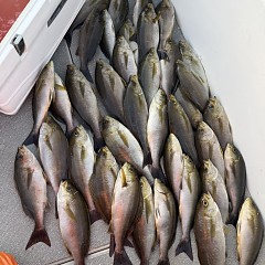 5月24日(日)午後便・イサキ釣りの写真その10