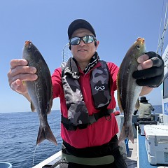 5月 25日（月）午前便・アジ、イサキ釣りの写真その4