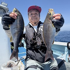 5月 25日（月）午前便・アジ、イサキ釣りの写真その5