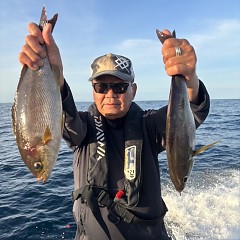 5月 25日(月)午後便・アジ、イサキ釣りの写真その4