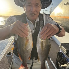 5月 25日(月)午後便・アジ、イサキ釣りの写真その5