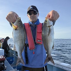 5月 25日（月）午後便・アジ、イサキ釣りの写真その2