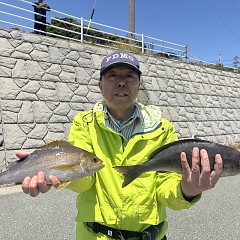 5月 25日（月）午前便・アジ、イサキ釣りの写真その2