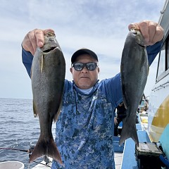 5月 26日（火）午前便・アジ、イサキ釣りの写真その1
