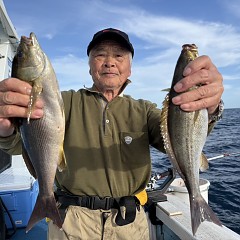 5月 26日（火）午後便・イサキ釣りの写真その1