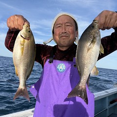 5月 26日(火)午後便・イサキ釣りの写真その4