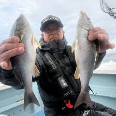 5月 27日（水）午後便・イサキ釣りの写真その1