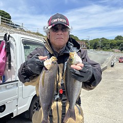 5月26日（火）午前便・アジ・イサキ釣りの写真その4