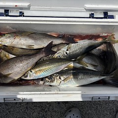 5月26日（火）午前便・アジ・イサキ釣りの写真その7