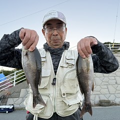 5月 29日（金）午後・アジ、イサキ釣りの写真その4